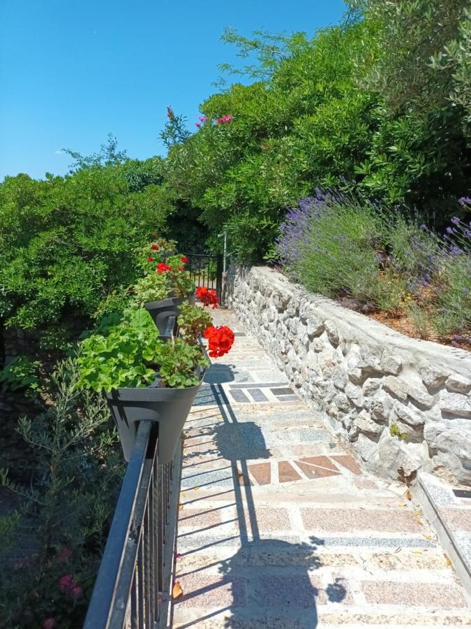 Sea & Honey Apartment Krk Town Exterior photo